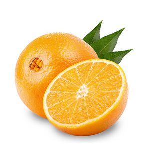 فروش پرتقال در فروشگاه اینترنتی jam999.com